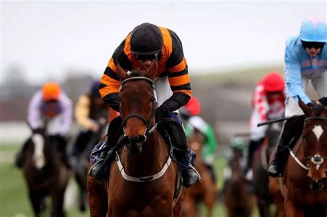 Irish Grand National tips: Selections for all eight  .